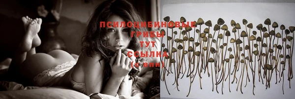 гашиш Богданович