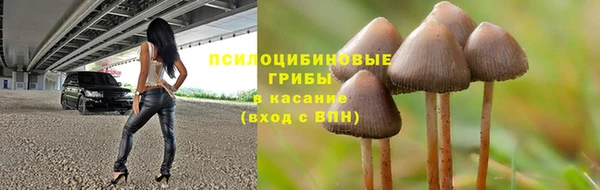 гашиш Богданович