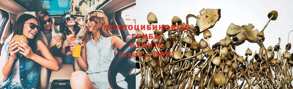 прущие крисы Богородицк