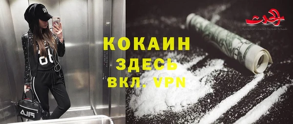 гашиш Богданович